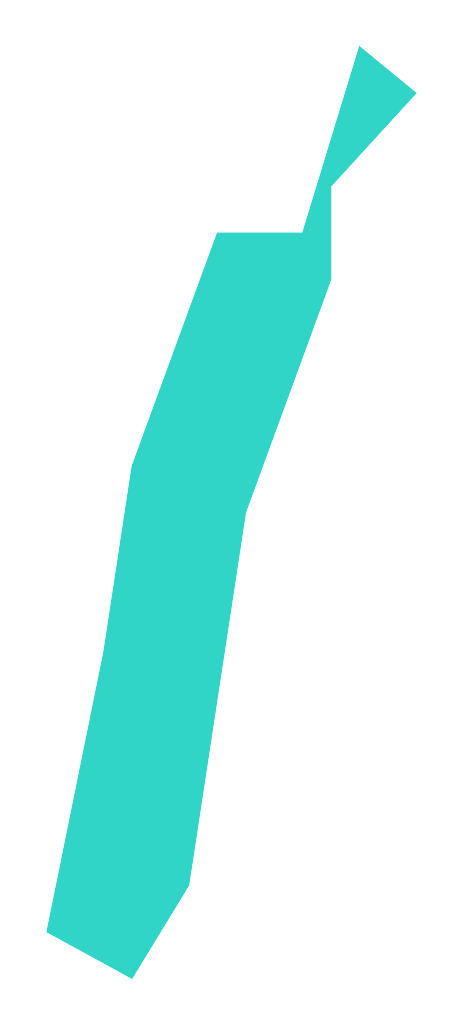 Rajskie