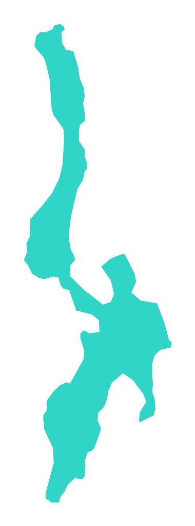 Wągiel