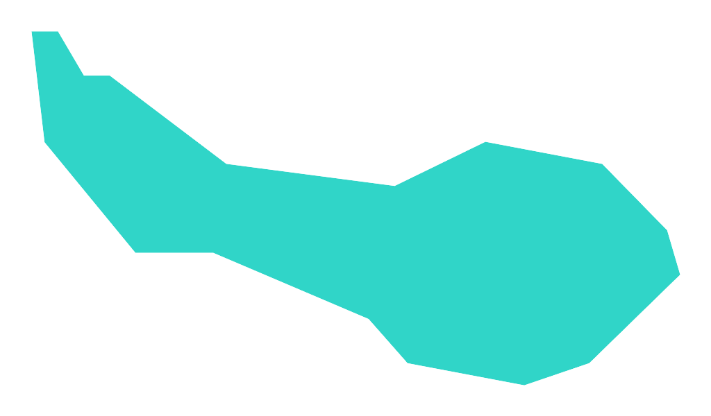 Ślepak