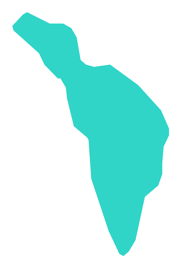 Kok