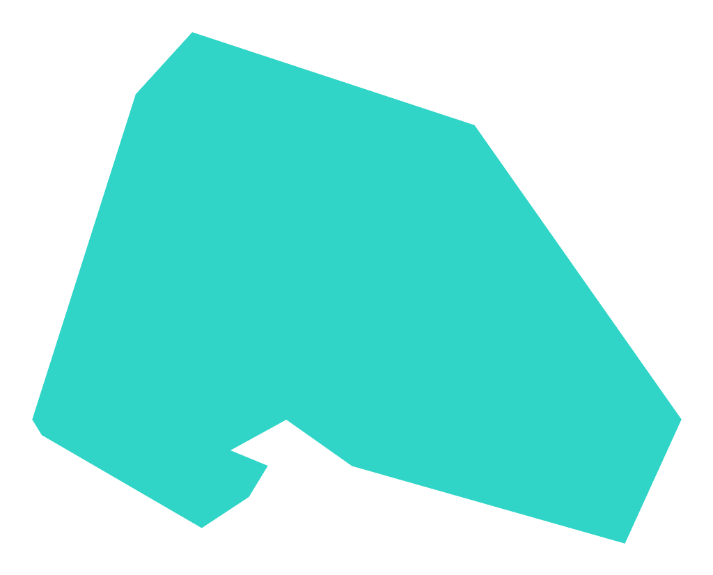 Skoki