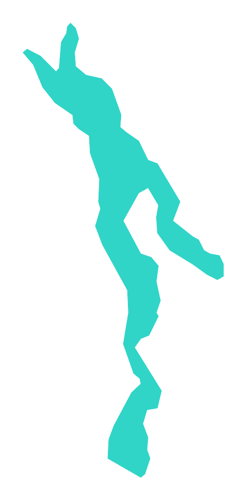 Mieliwo