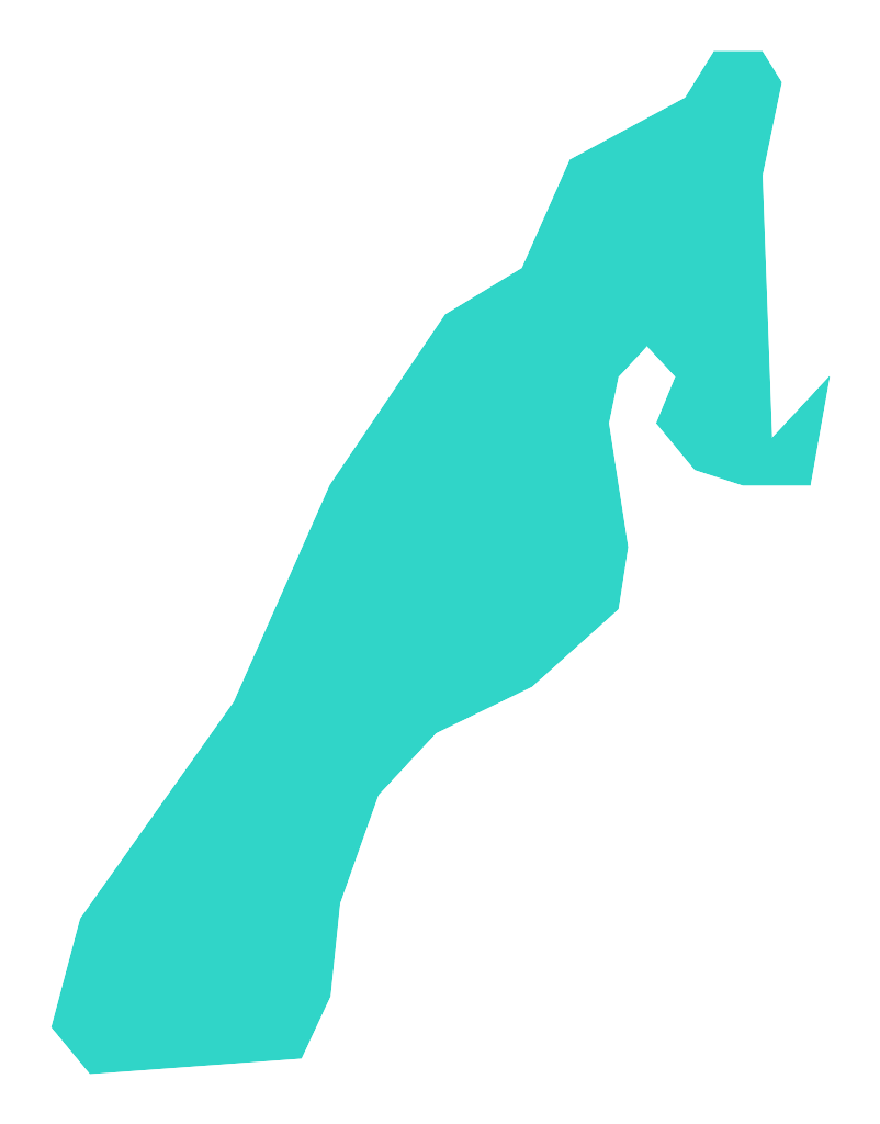 Kołkowy