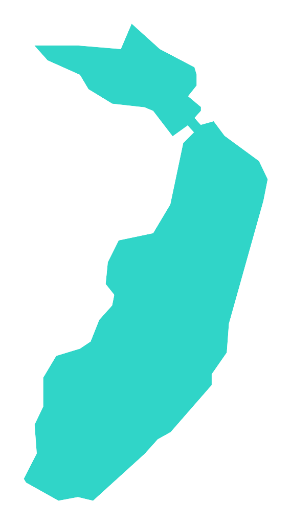 Wykrot
