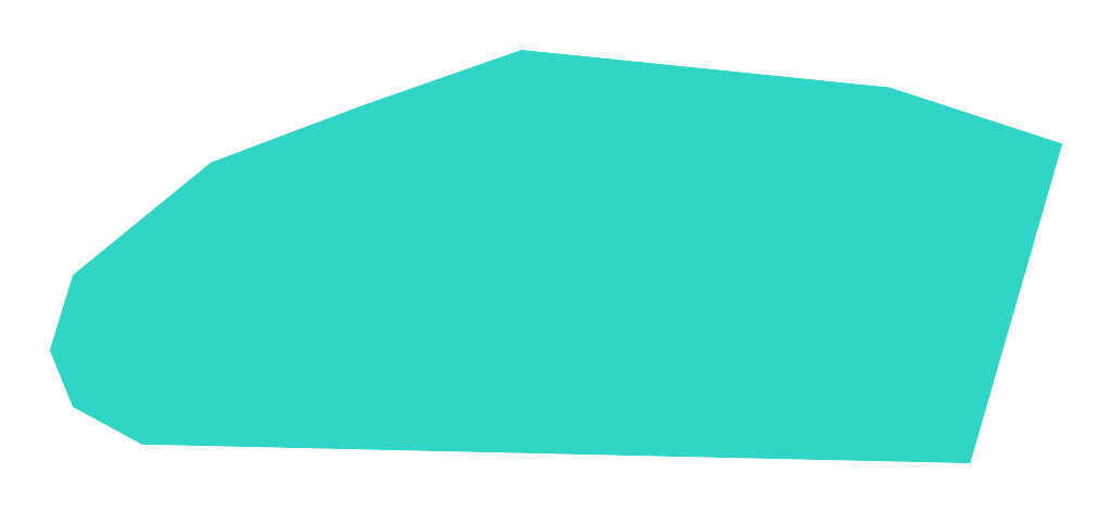 Boryszew