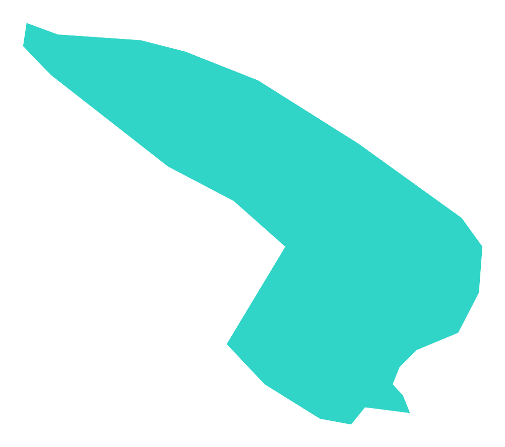 Zygmunt