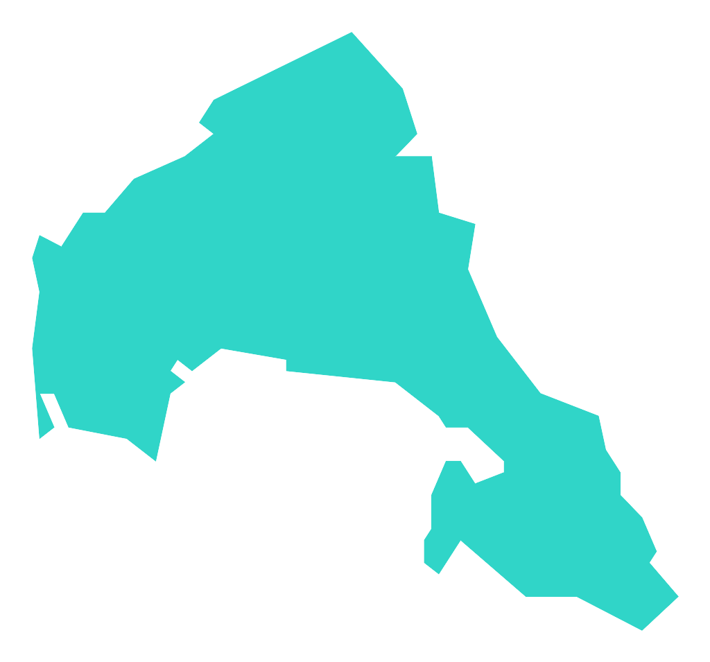 Srebrniok