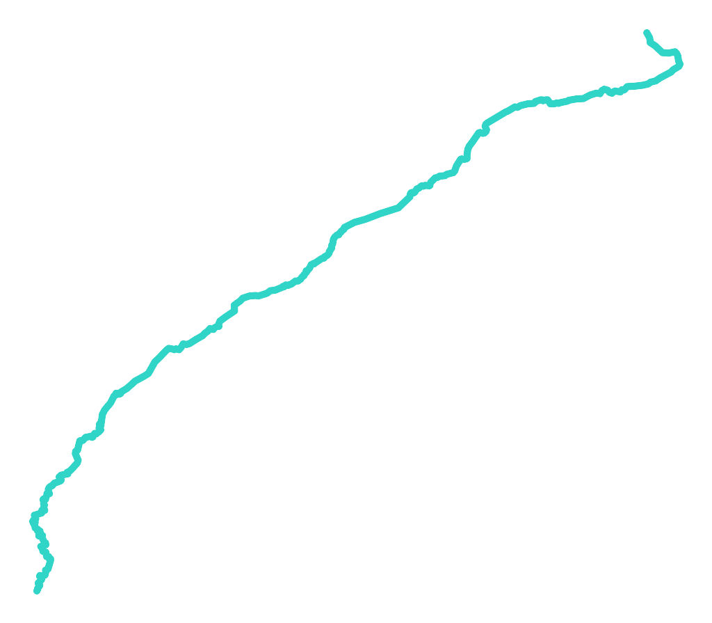 Biała