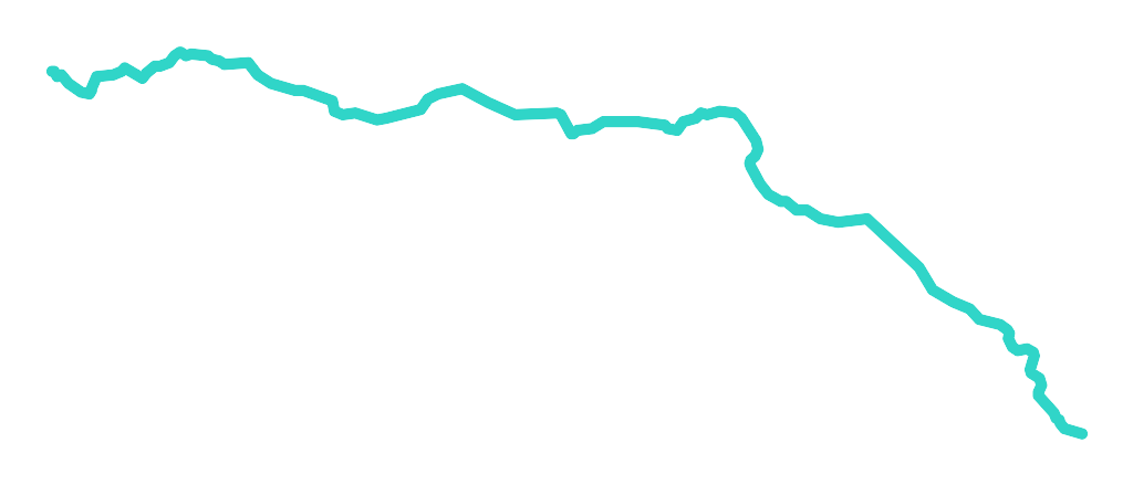 Kocunia