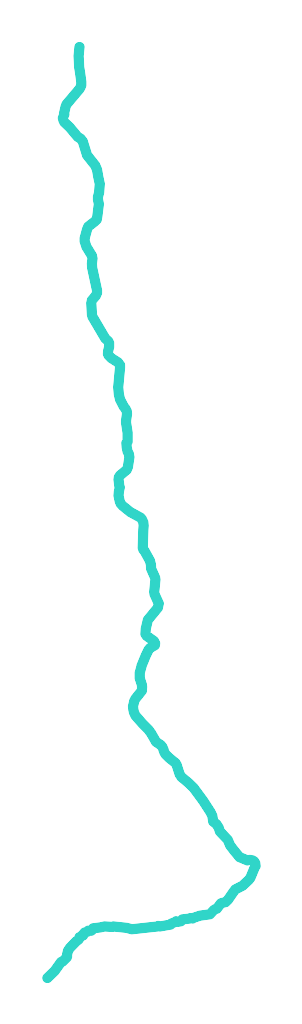 Biała