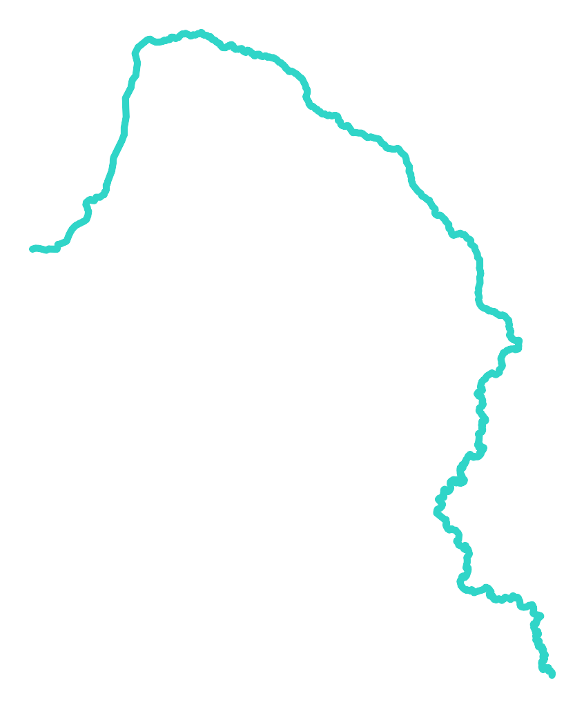 Orzyc