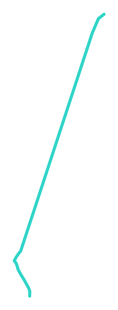 Warta nr 4