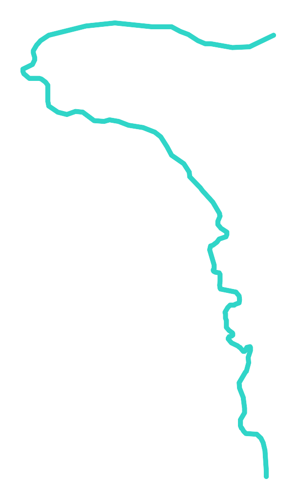 Zbrzyca nr 5