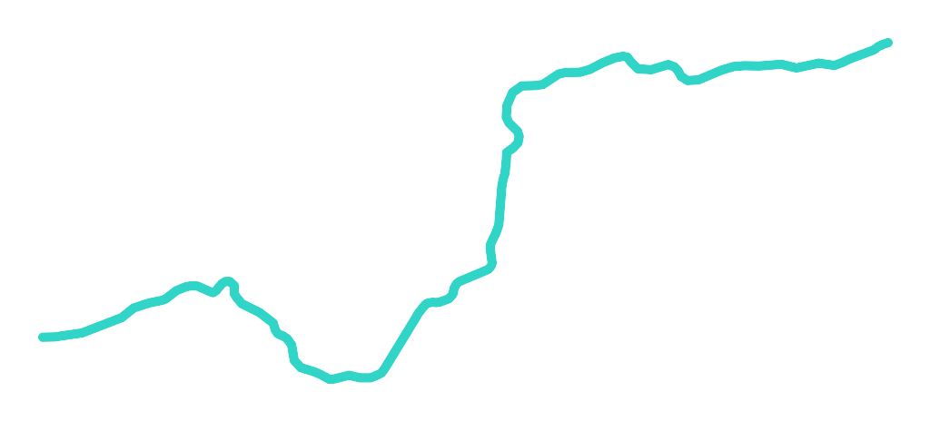 Warta nr 12