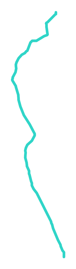Santoczna nr 1