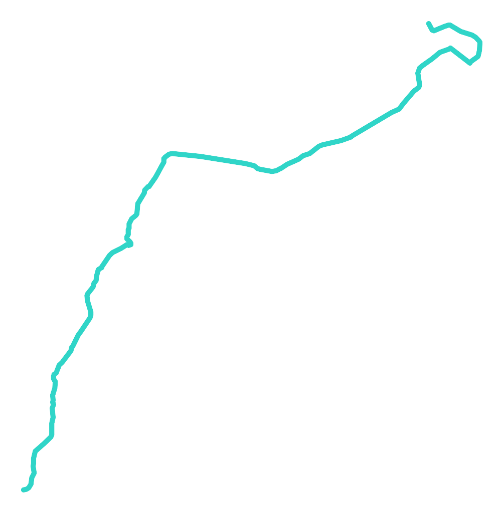 Srebrna