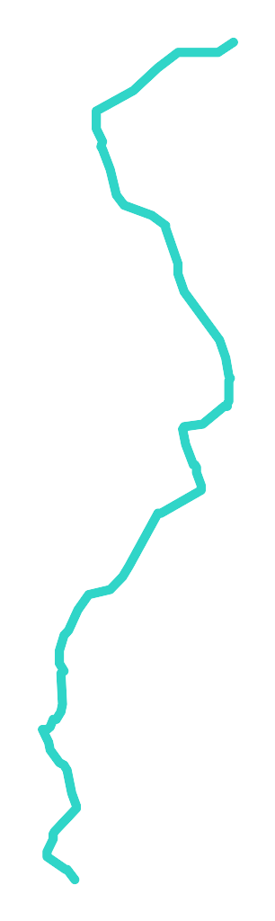 Kosa nr 2