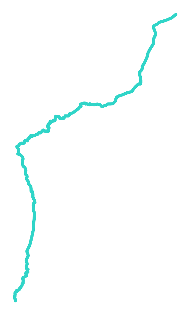 Płociczna nr 1