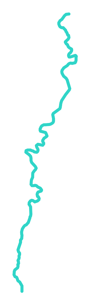 Kwisa nr 4