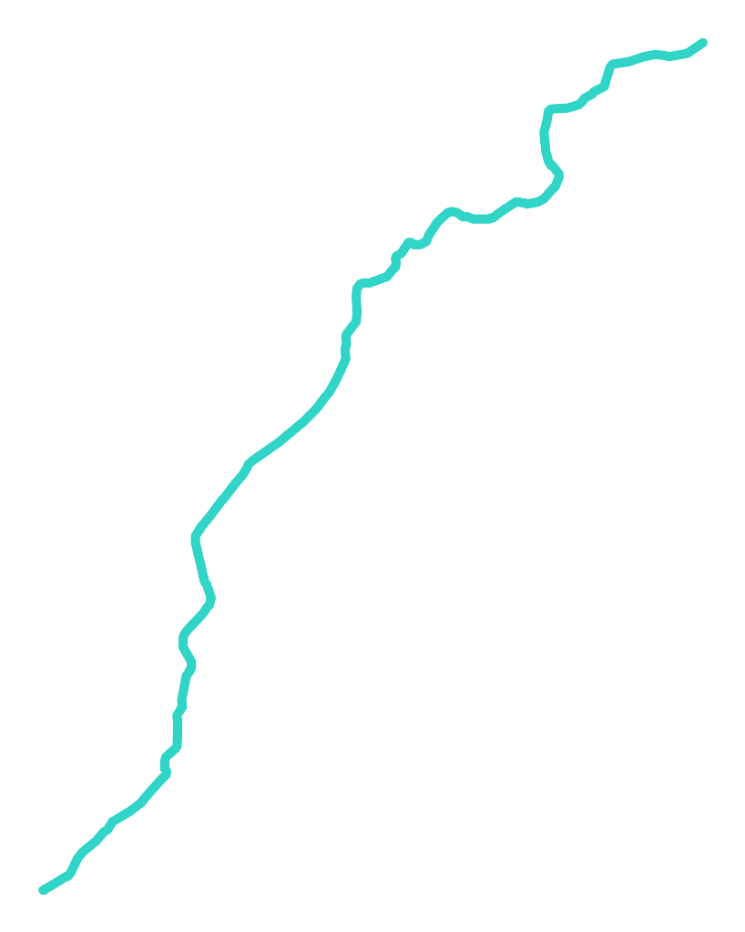 Borowianka