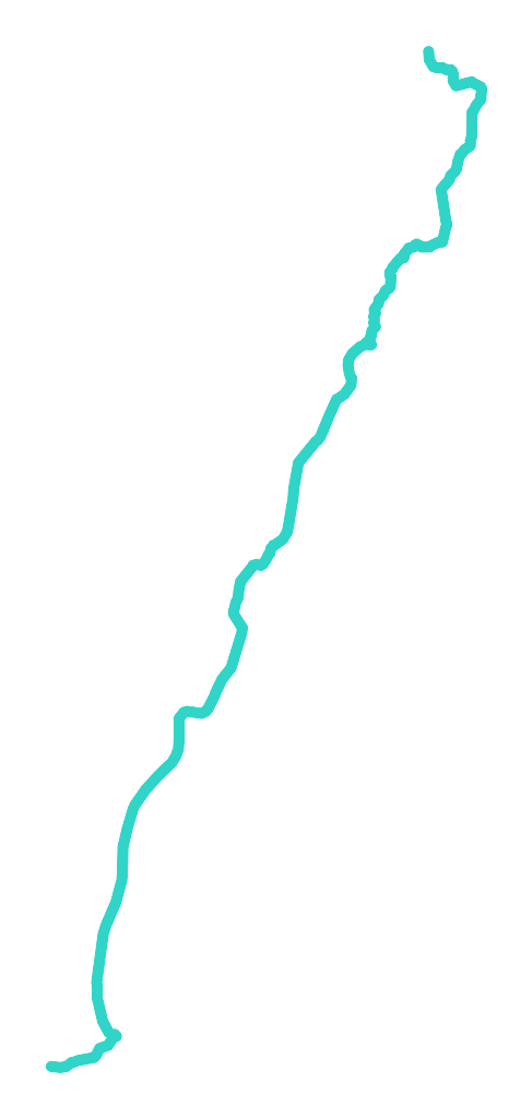 Rakoń