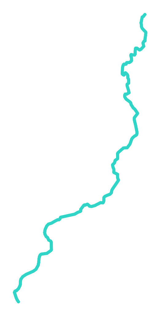 Kokna