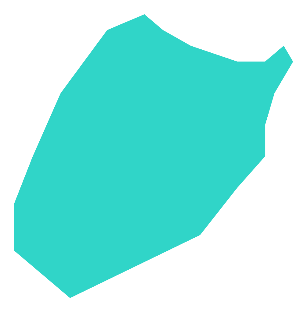 Ślepieniec