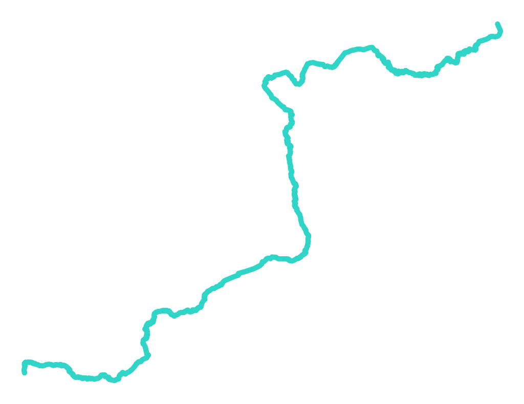 Zgłowiączka nr 2