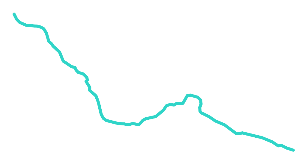 Kocięca