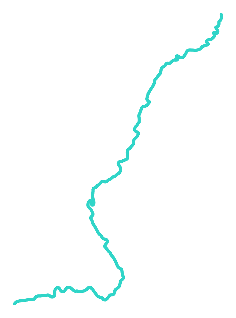 Narew nr 6