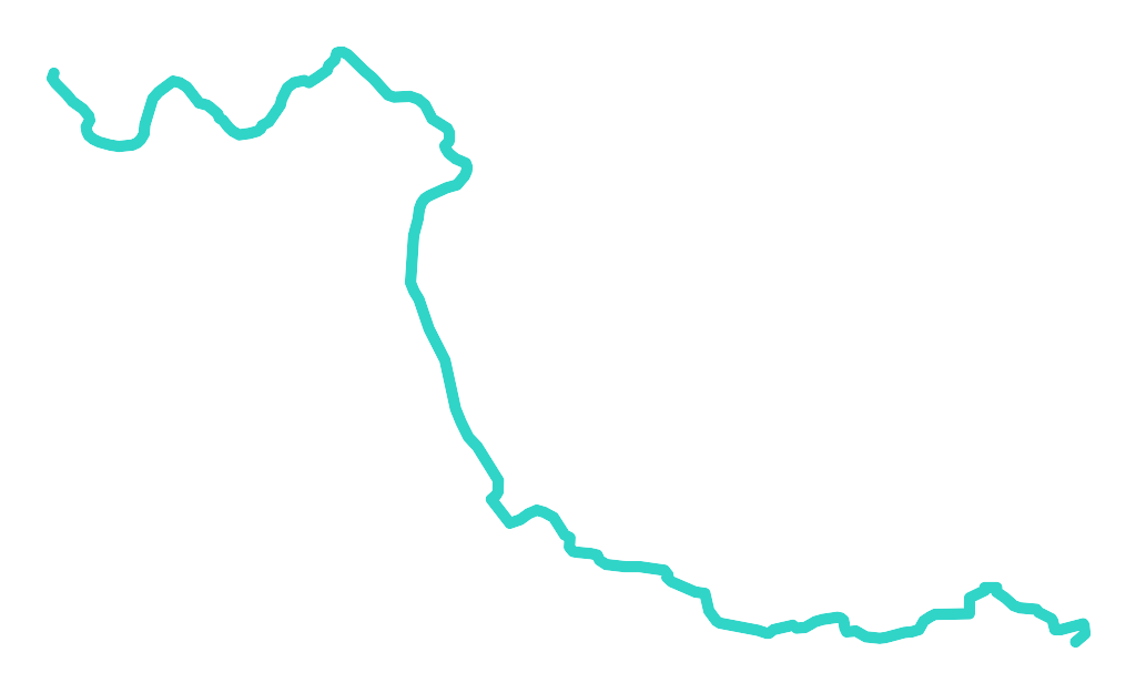 Fiszor