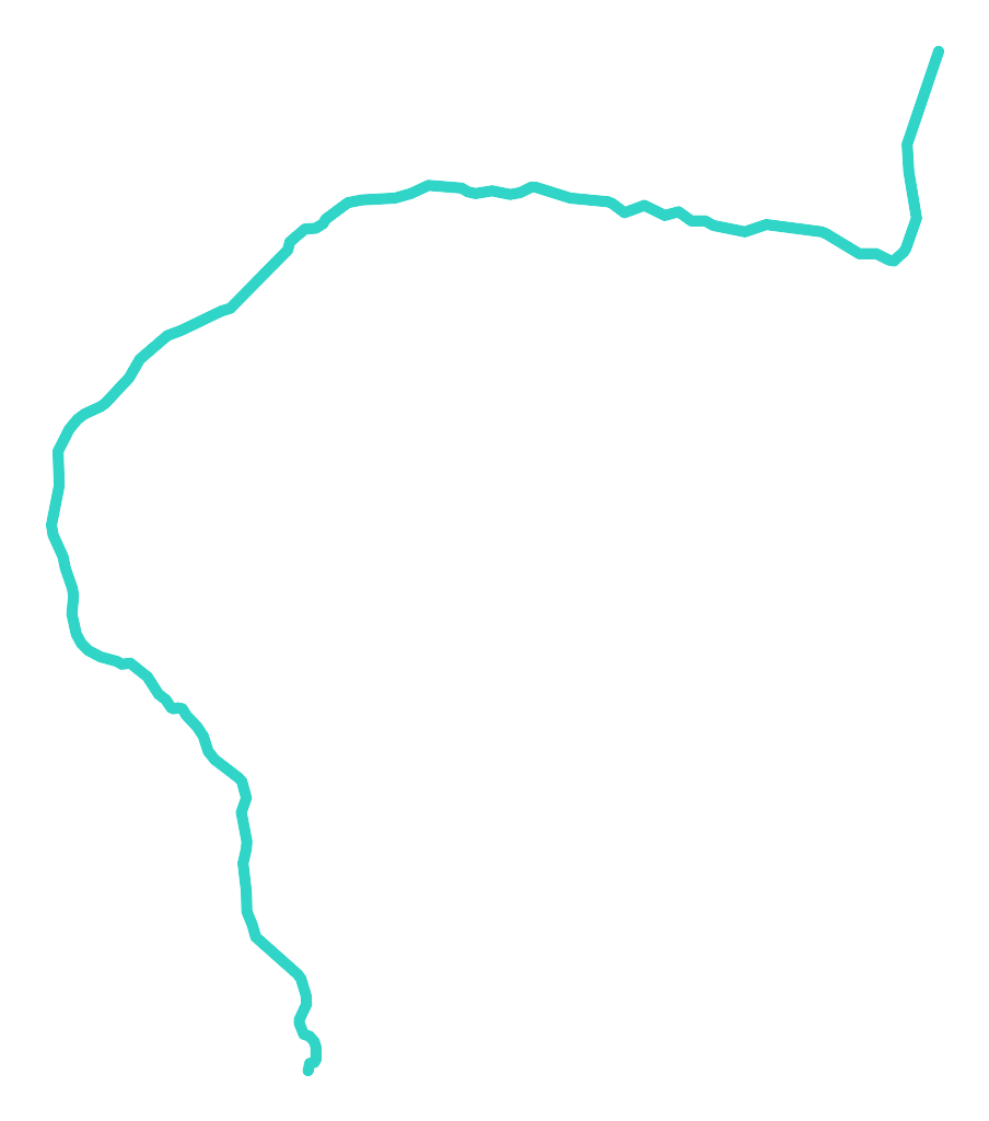 Czarna