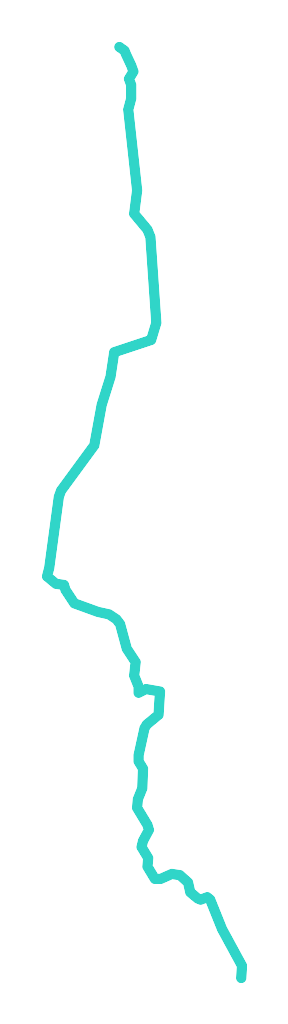 Rurzyca nr 2