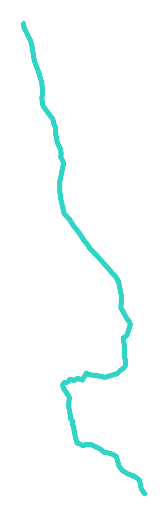 Ostrowica (Strumień Nieborowski )