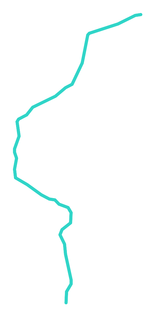 Grzybnica