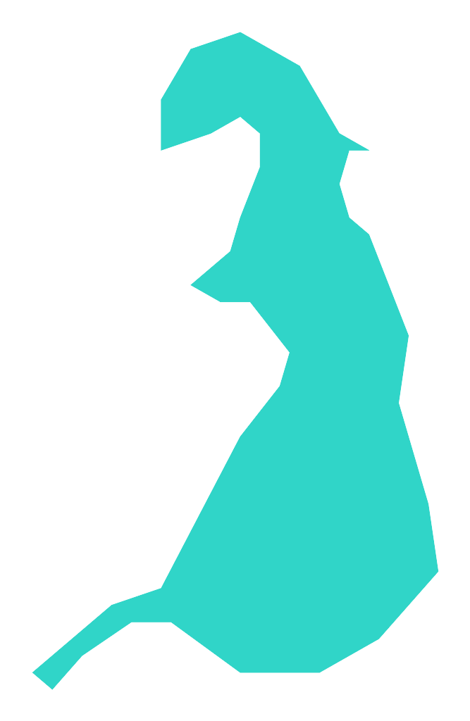Rokitki Małe (Rokickie Małe)