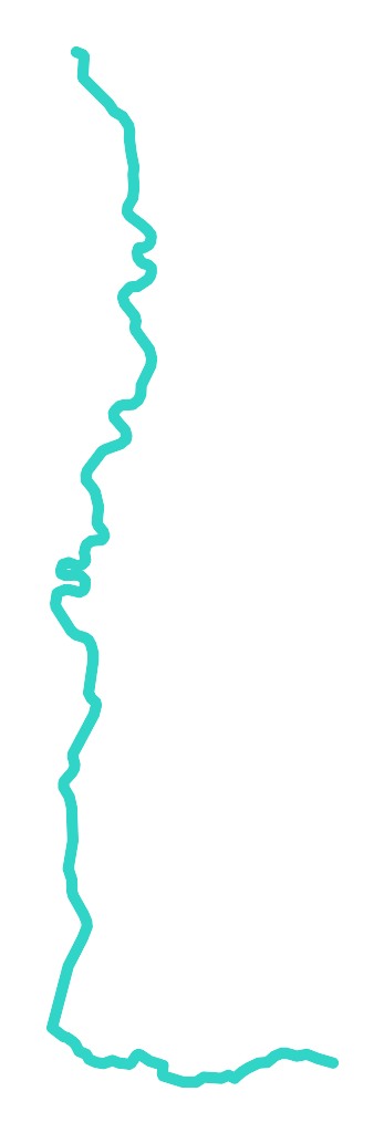 Tynica
