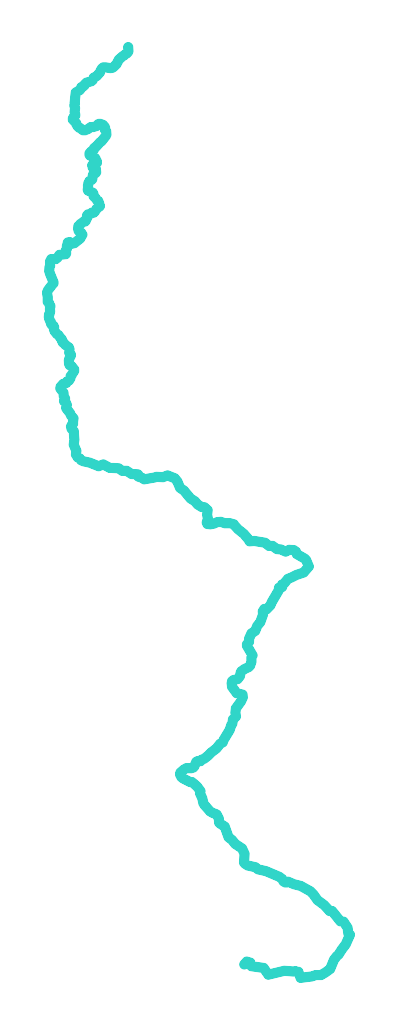 Wierzbiak