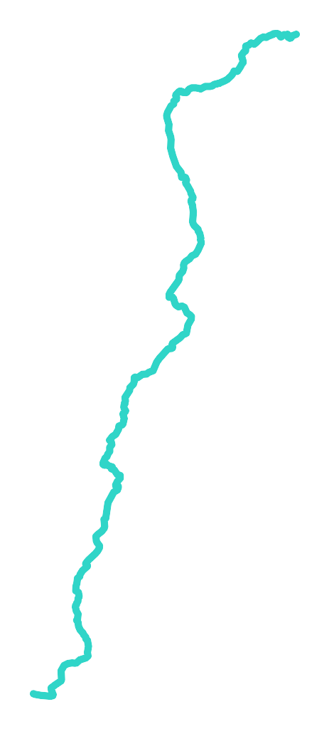 Skora