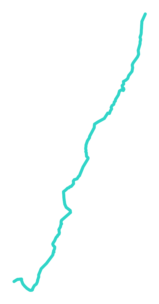 Panieńska Łacha (Kanał Panieński)