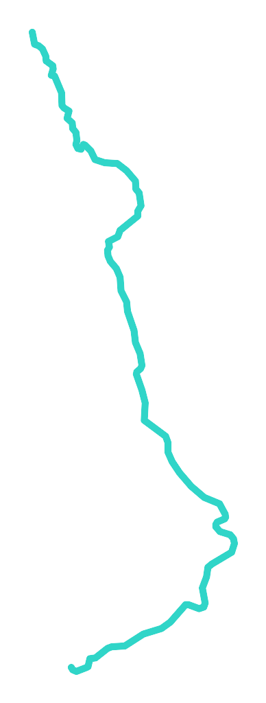 Gardyna