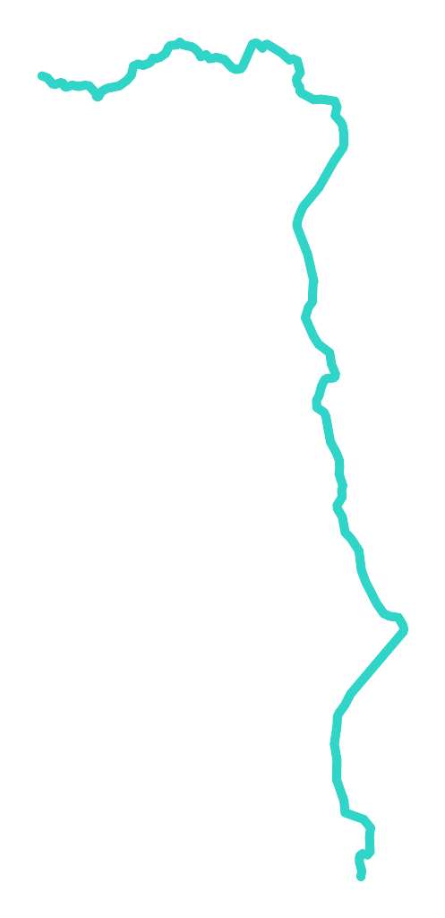 Dzikówka