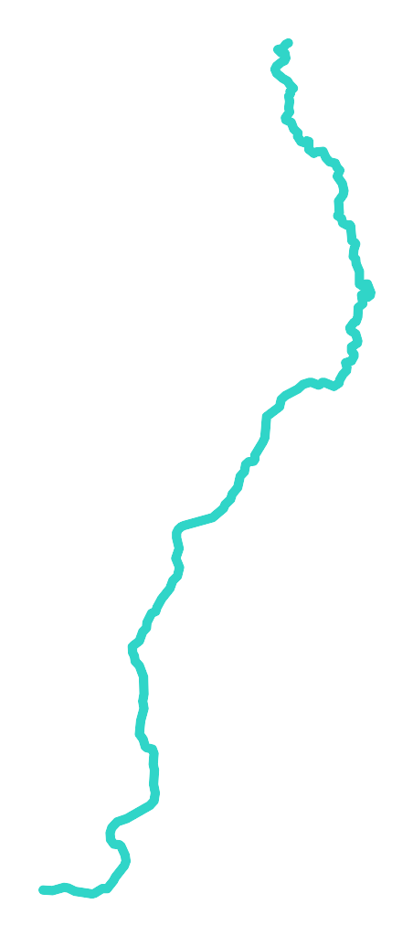 Mora