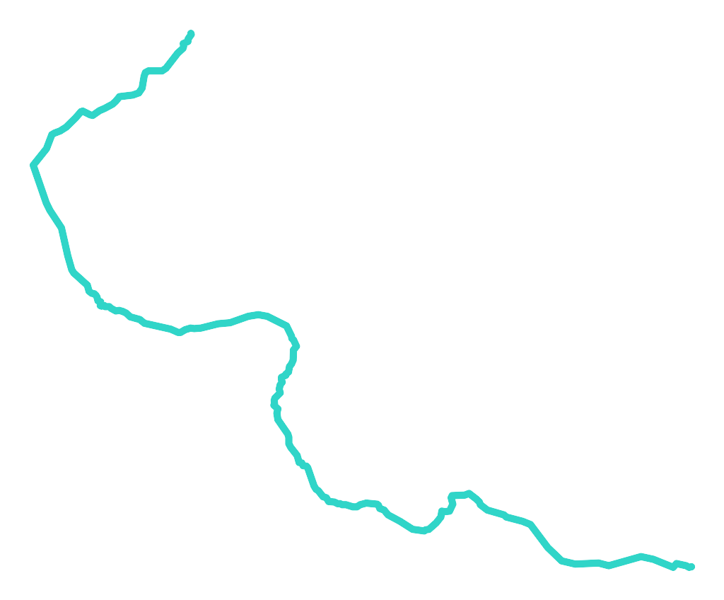 Dyga