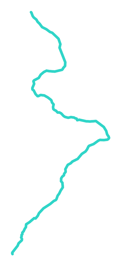 Borówka