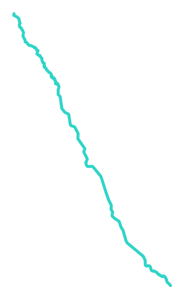 Niemica nr 2
