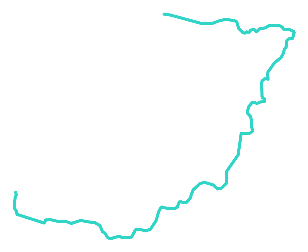Pissa (Pisia) nr 1