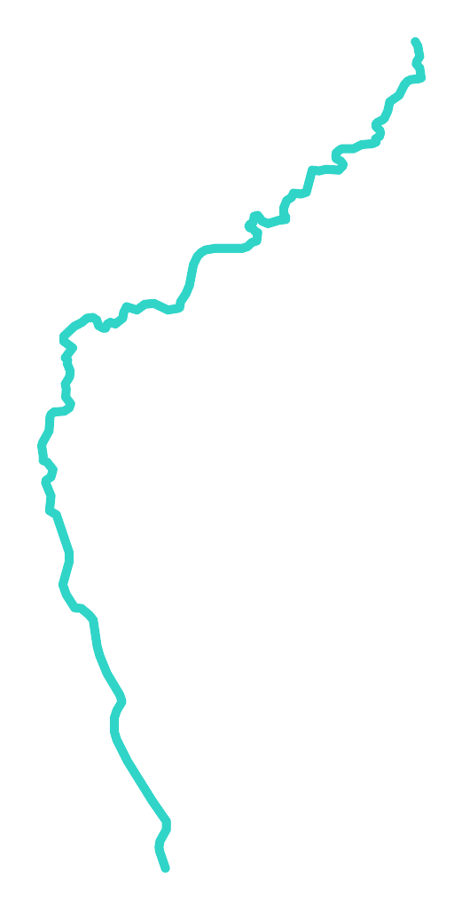 Struga Toruńska (Struga Wielbądza)