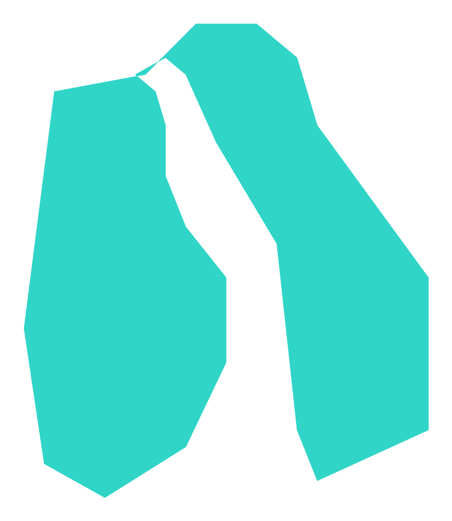 Bliźniaki