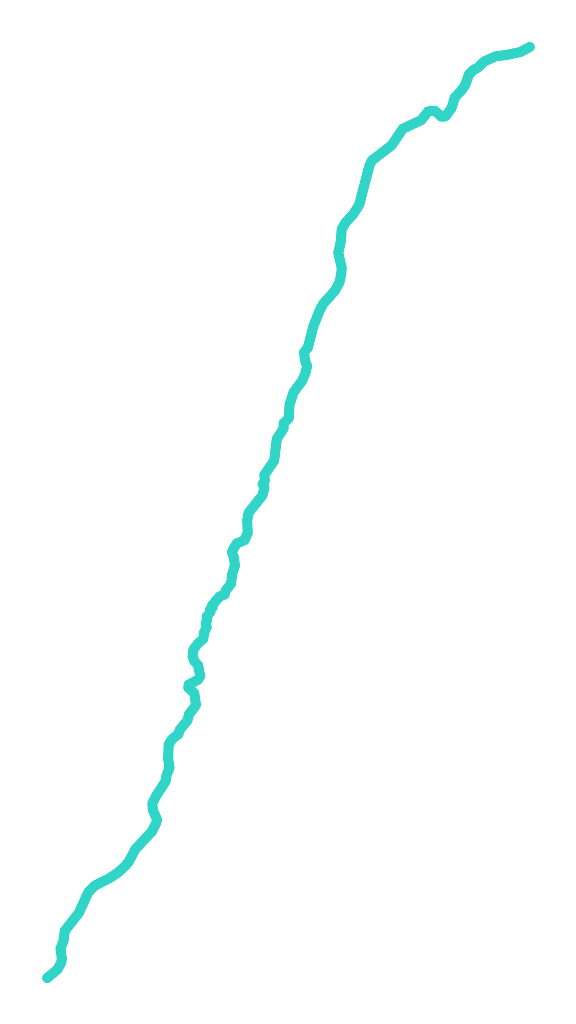 Krówka nr 2